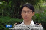 另類(lèi)寵物風(fēng)潮“興起”？廣州海關(guān)嚴(yán)打“異寵”非法入境，截獲非法入境“異寵”400多頭