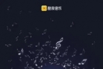 酷我音樂進行音質音效升級，讓聆聽成為一種享受