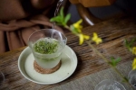 綠茶，正確沖泡法！