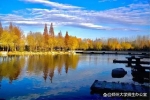 捧回華為大獎(jiǎng)！河南硬核學(xué)霸：跨專業(yè)保研清華，研究“...