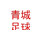 內(nèi)蒙古青城足球俱樂部有限公司