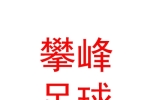 西藏攀峰足球俱樂(lè)部有限公司