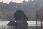 重慶萬(wàn)盛青山湖濕地公園12月景色