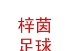 內(nèi)蒙古梓茵足球文化發(fā)展有限公司