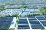 定西市“十五字工作法”助推項(xiàng)目建設(shè)提質(zhì)增效