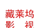 西藏藏萊塢影視有限責任公司
